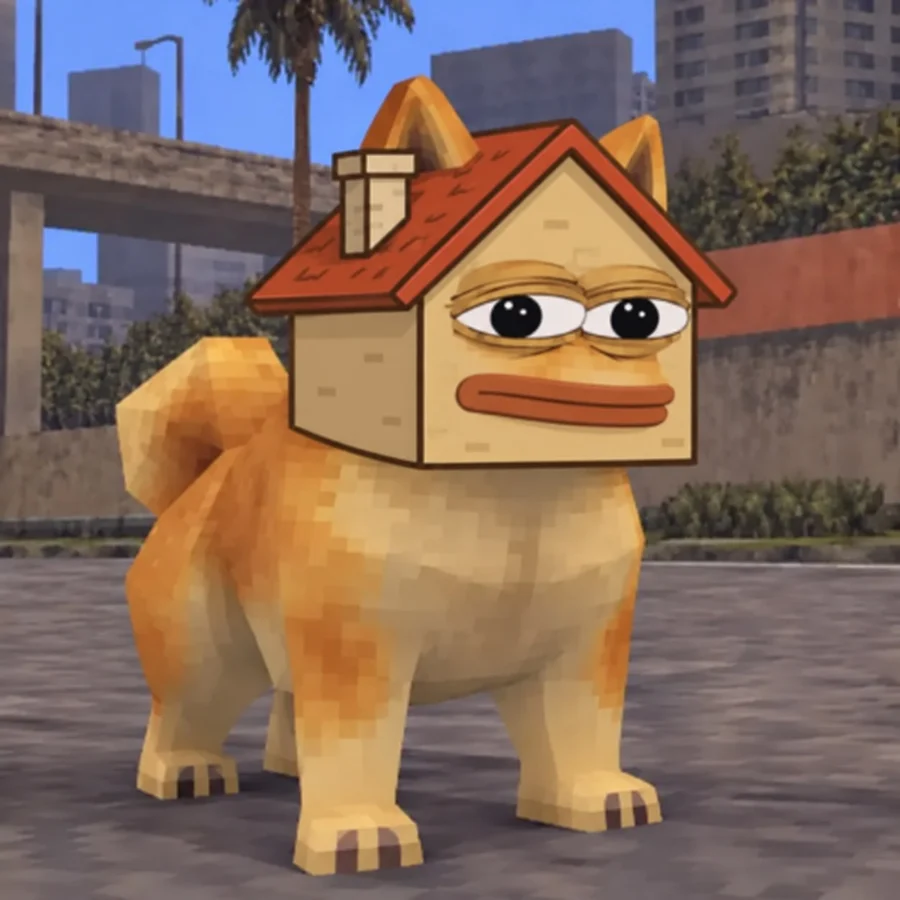 House Doge Pepe on the street