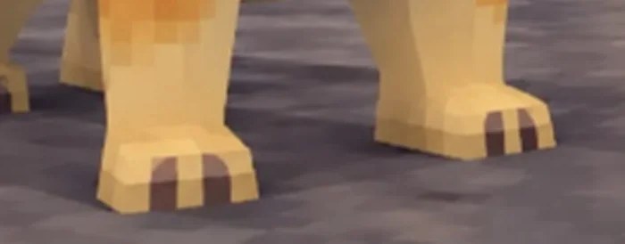 Foundation (paws)